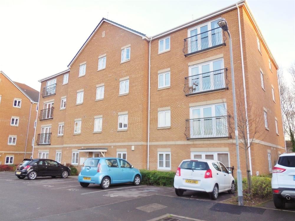 David's Homes & Commercial