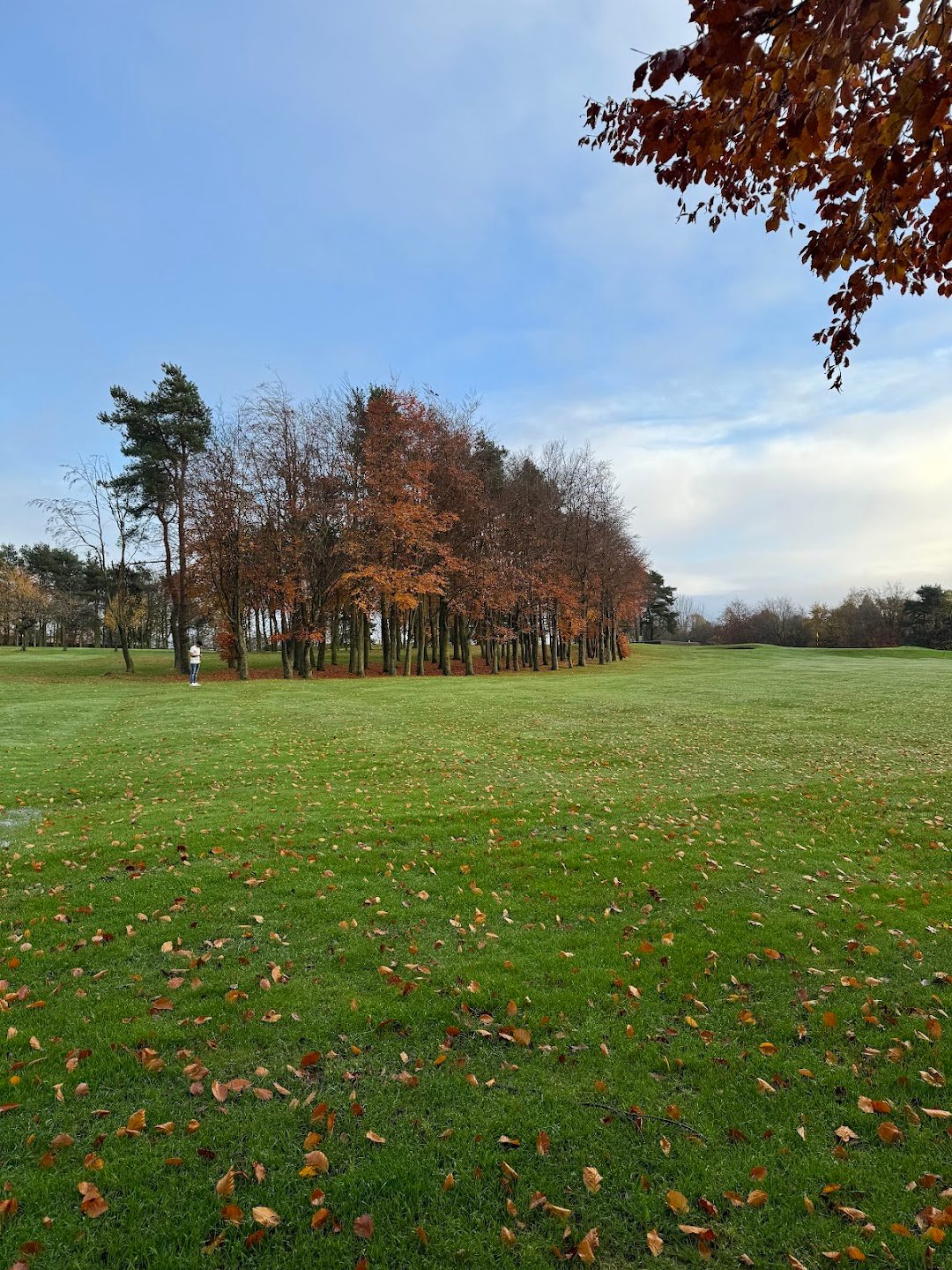 Westerhope Golf Club