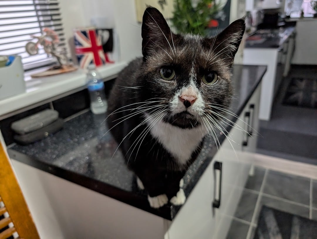 RSPCA Stubbington Ark