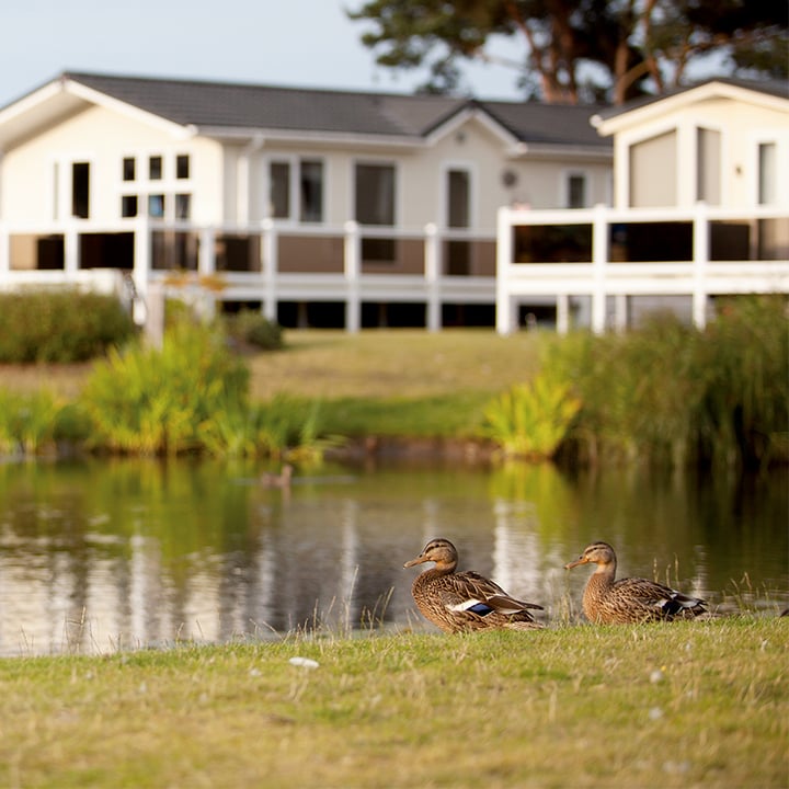 Wild Duck Holiday Park