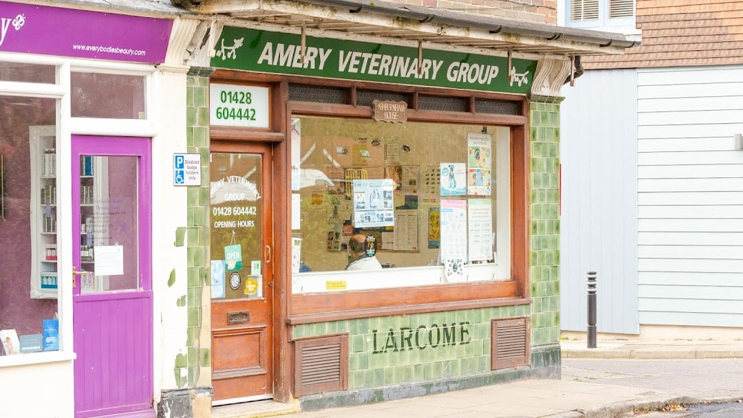 Amery Vets Grayshott