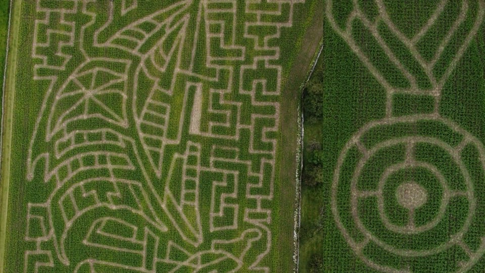 Lakeland Maze Farm Park