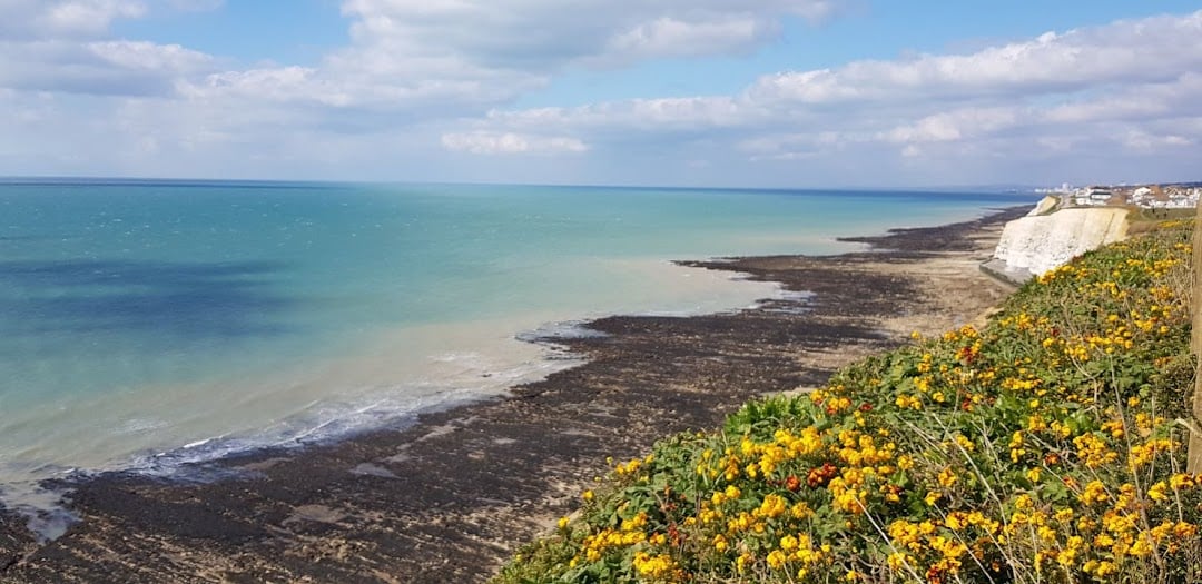 Peacehaven Town Council