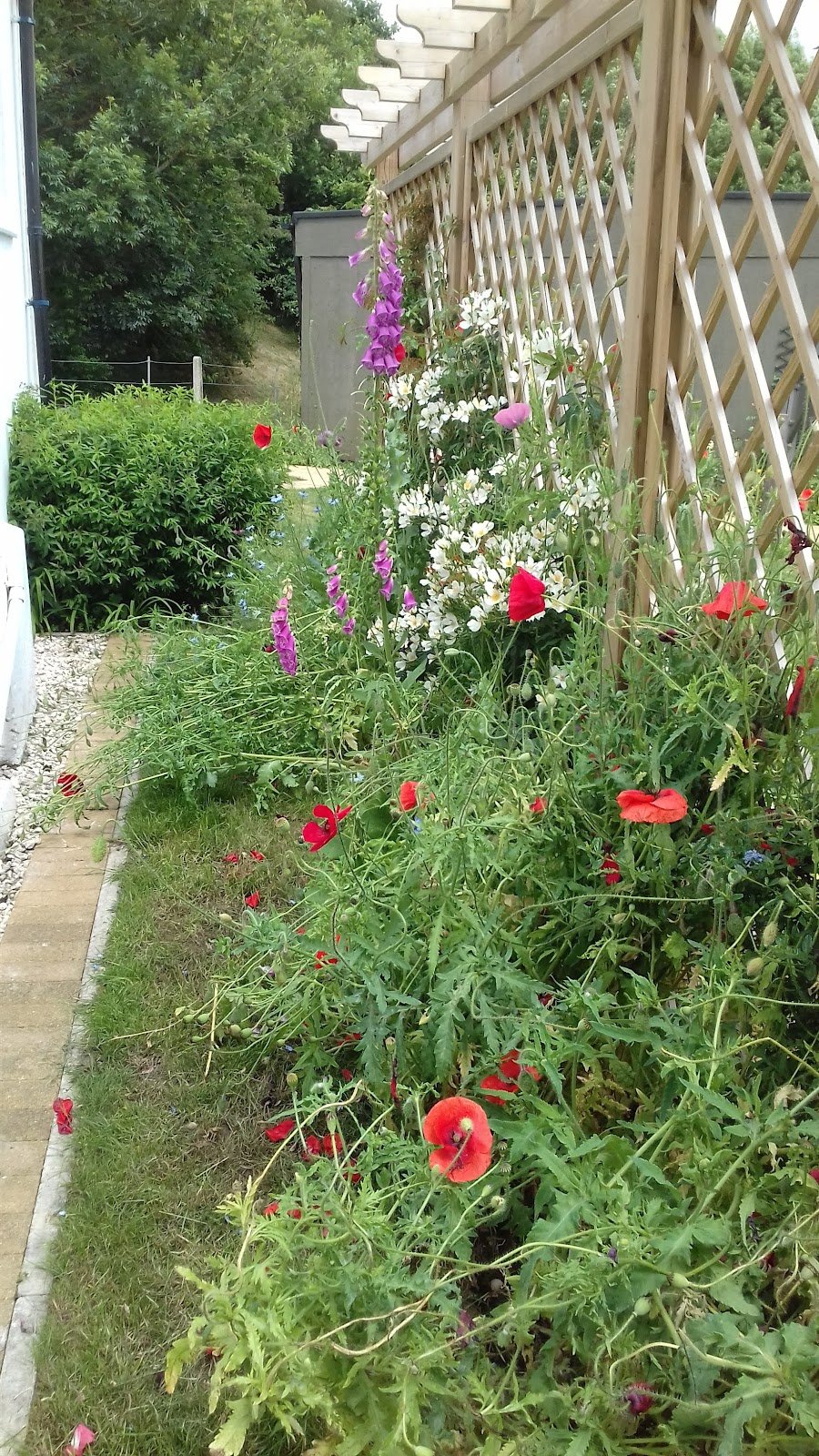 New Hope Christian Centre