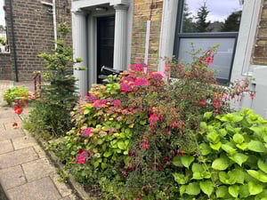 Stainland Old Library