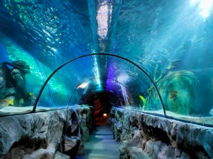 Great Yarmouth Sealife Centre