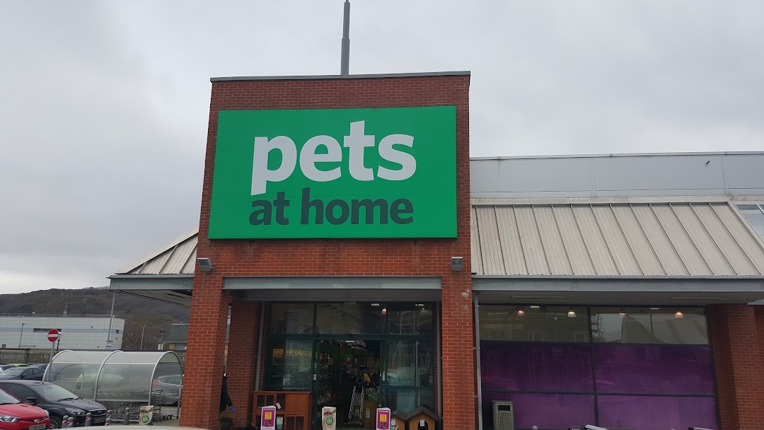 Pets at Home Aberystwyth